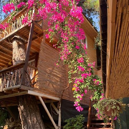 Large Bungalow With Sea View In Kabak Bay, Oeluedeniz Fethiye Buitenkant foto