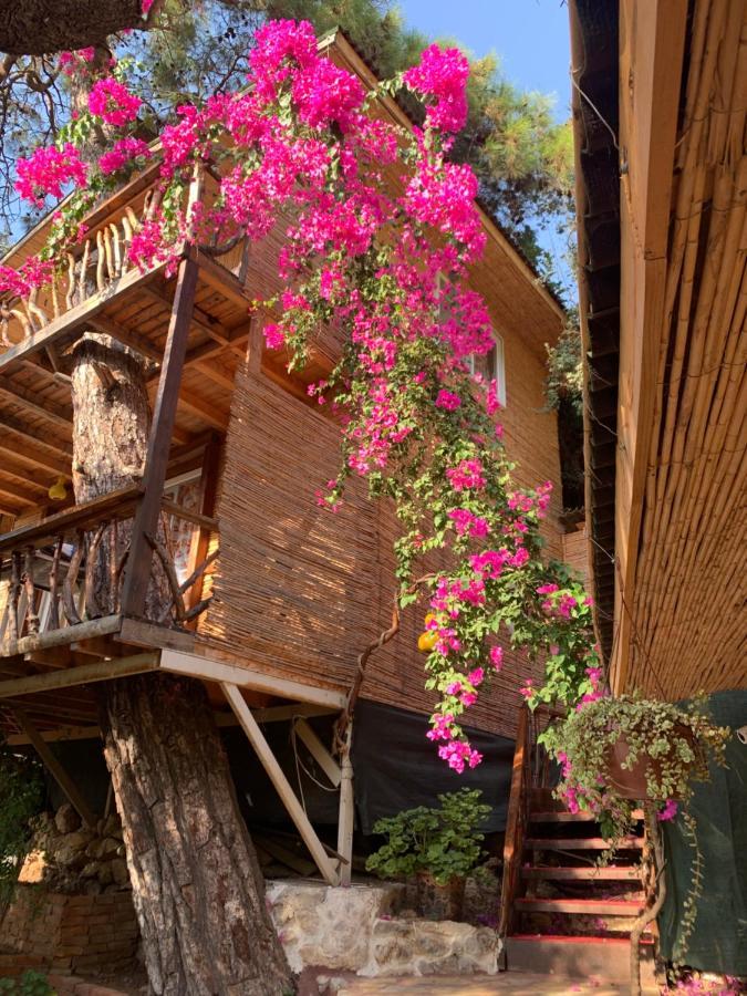 Large Bungalow With Sea View In Kabak Bay, Oeluedeniz Fethiye Buitenkant foto