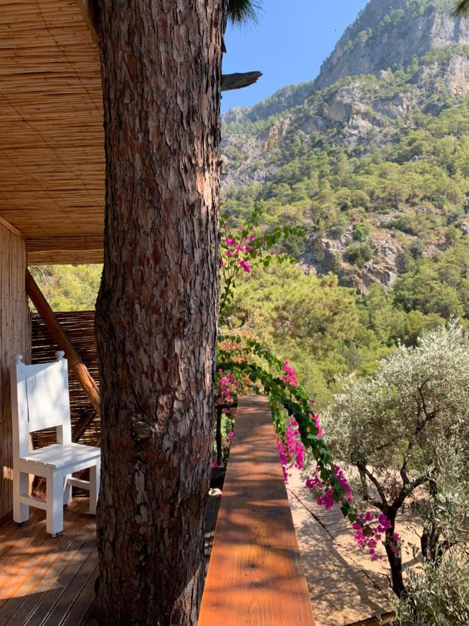 Large Bungalow With Sea View In Kabak Bay, Oeluedeniz Fethiye Buitenkant foto